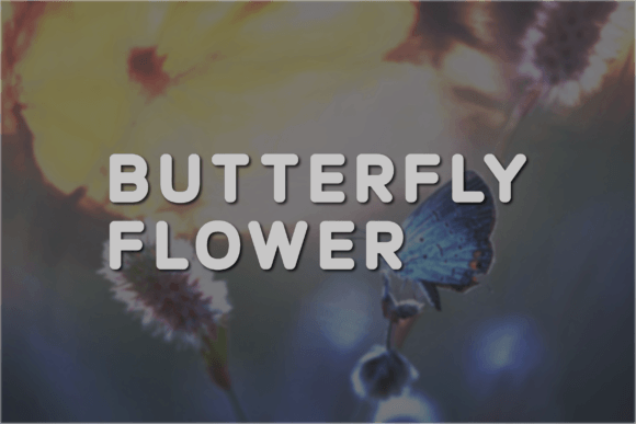 Butterfly Flower: A Modern Sans Serif Typeface for Editorial Clarity