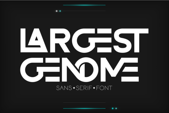 Largest Genome: A Designer’s Real-World Type Audit
