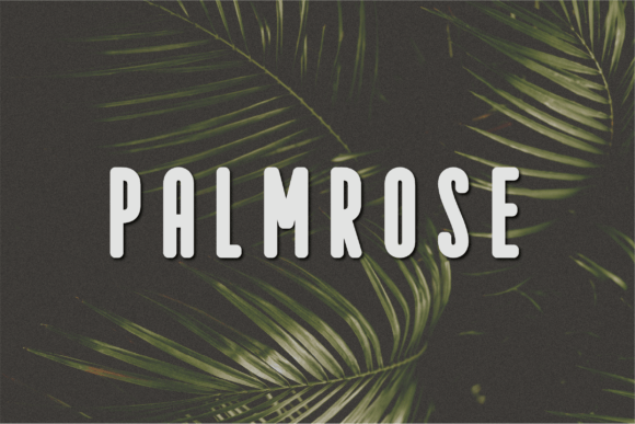 Palmrose: A Thoughtful Sans Serif for Editorial Calm