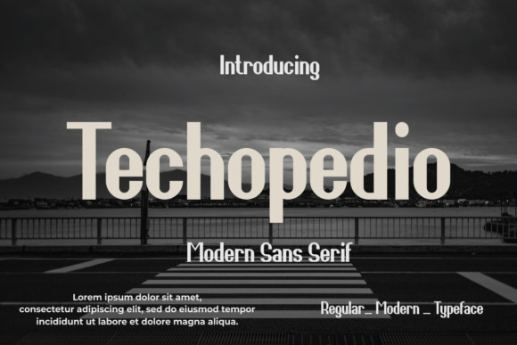 Techopedio: A Modern Sans Serif Font for Digital Design