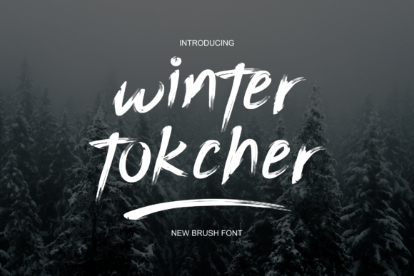 Winter Tokcher: A Bold Display Font That Cuts Through the Feed