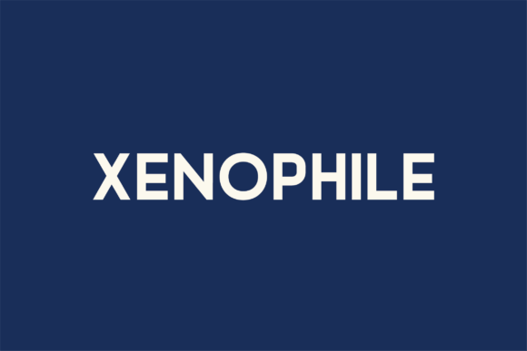 Xenophile: A Thoughtful Sans Serif for Editorial Calm